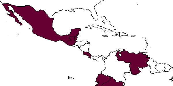 map of Lathromeroidea exemplum     Pinto, 2006